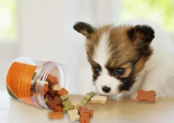 एकल पेंच 250 किलो / घंटा 35KW पालतू पशु उपचार मशीन