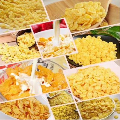 200-500 किलोग्राम केलॉग भुना हुआ नाश्ता अनाज मकई के फ्लेक्स प्रसंस्करण लाइन स्नैक फूड एक्सट्रूडर मशीन