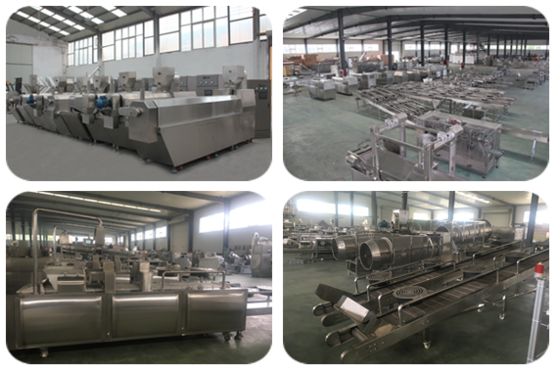 स्टेनलेस स्टील झटकेदार पालतू खाद्य उत्पादन लाइन 300-500 किग्रा / घंटा