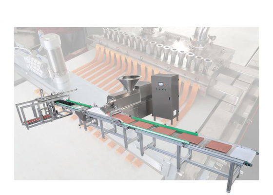 जेर्की ट्रीट्स मीट स्टिक मेकिंग मशीन SUS304 मटेरियल