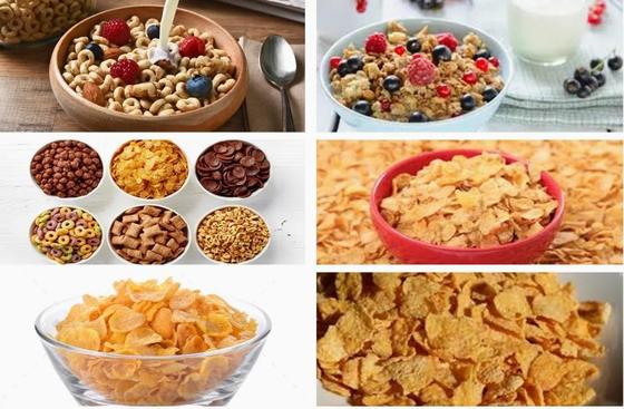 नई स्टेनलेस स्टील कॉर्न फ्लेक्स प्रोसेसिंग लाइन ट्विन स्क्रू एक्सट्रूडर मशीन