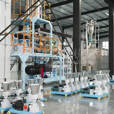 Big Output 2 Ton Per Hour Floating Fish Feed Pellet Animal Feed Making Machine Dog Food Plant / Machinery / Production Line
